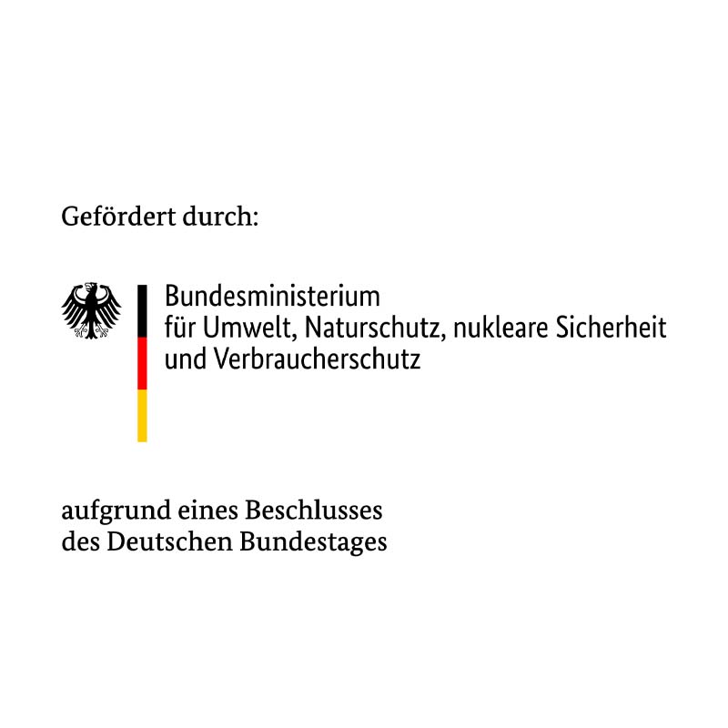 BMU_Logo BMU_Logo